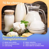 Transglutaminase - Prolink D - Cheese