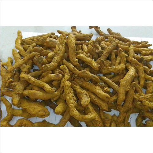 Yellow Dry Turmeric Finger