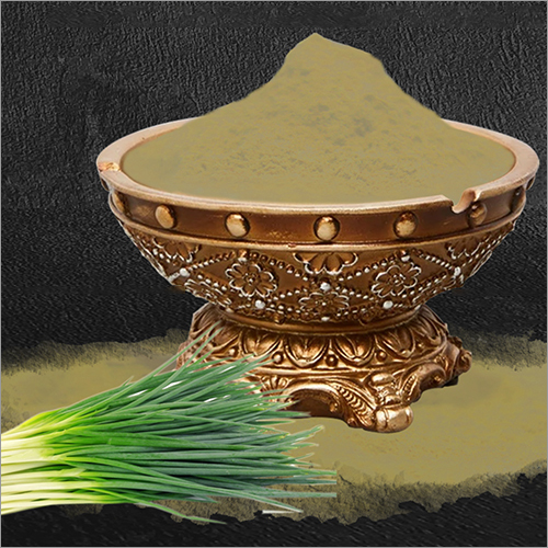 Buy Online Dried Green Garlic Powder, Manufacturer,Supplier,Surat