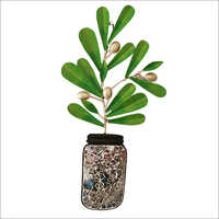 Painted Wall Planter Light