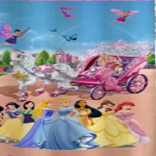Door Curtain