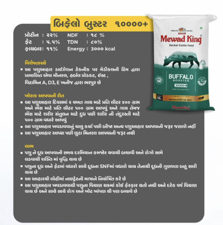 MEWAD KING Buffalo Booster 10000