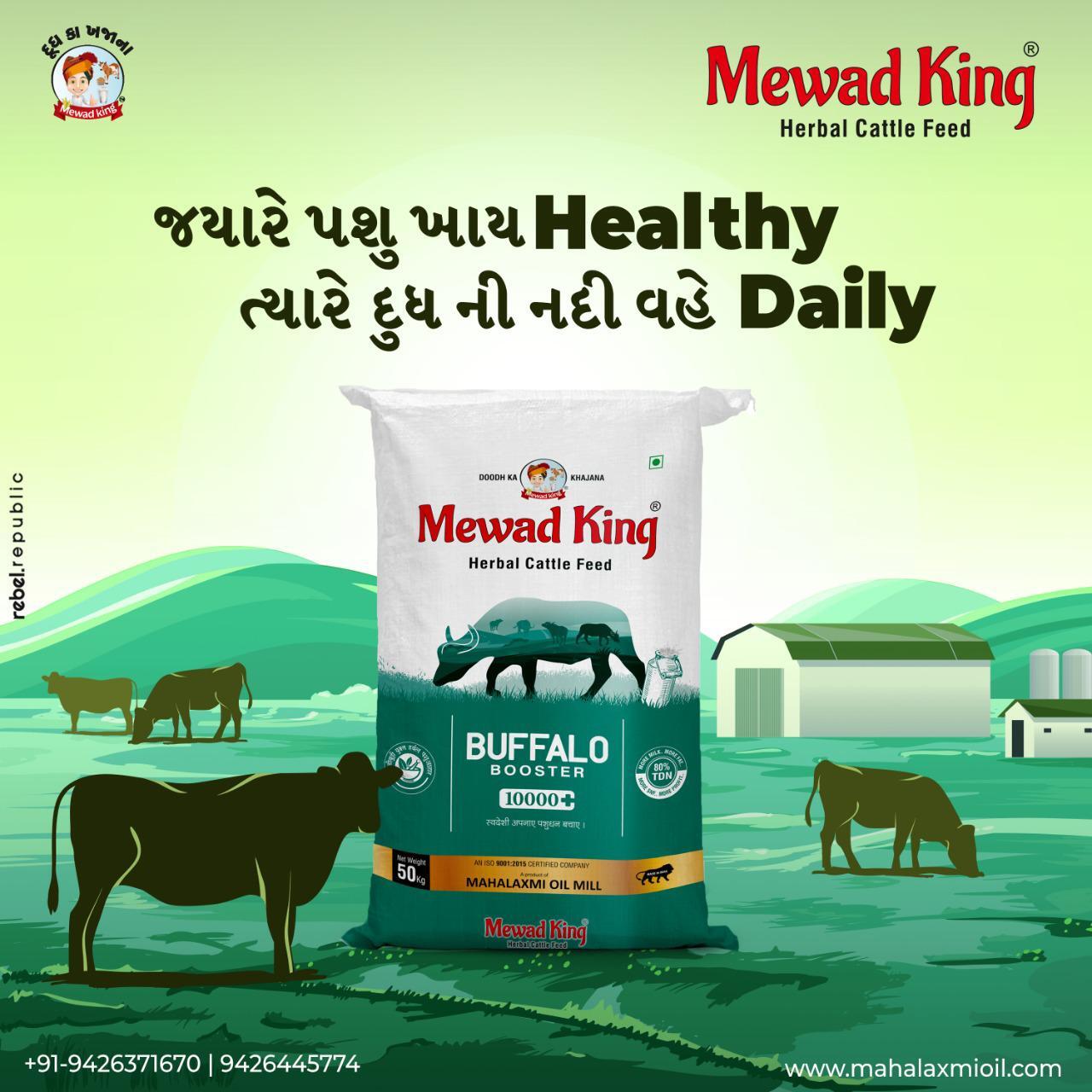 MEWAD KING Buffalo Booster 10000