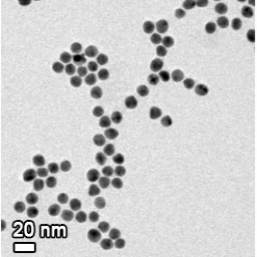 Bio Pure Nano