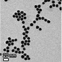Au Particles