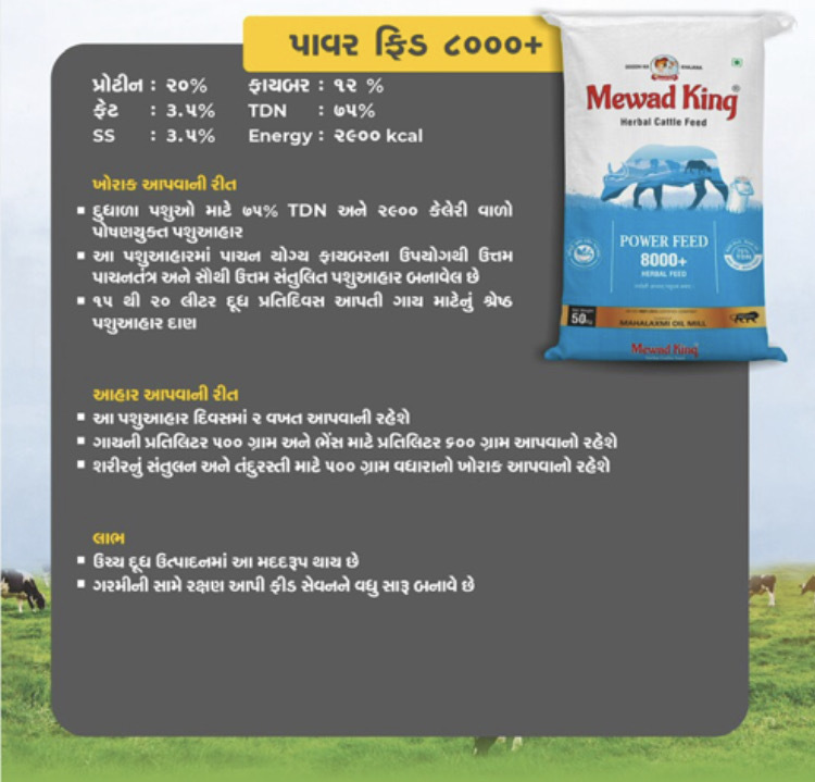 MEWAD KING Power Feed 8000