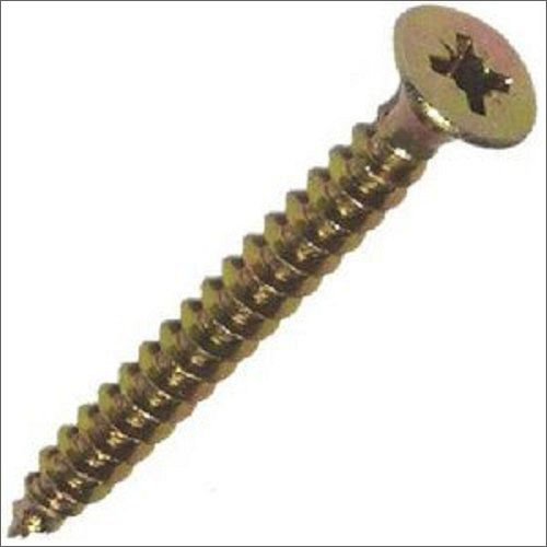 Polished Self Tapping Head Screw