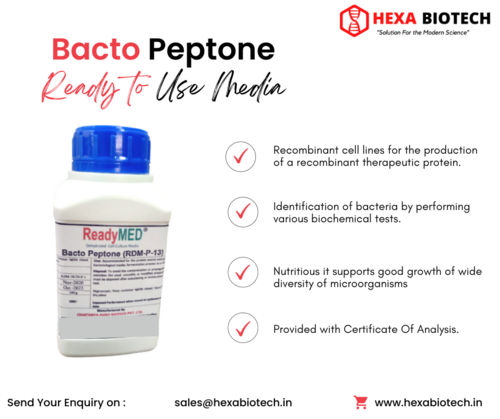 Bacto Peptone (RDM-P-13)