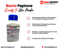 Bacto Peptone (RDM-P-13)