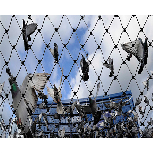 Anti Bird Net
