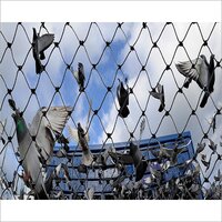 Anti Bird Net - Hdpe & Co-polymer Nylon, 10x30 Mtr Size, Oval Hole Shape, Color Options Black & White, Lightweight Plastic Netting