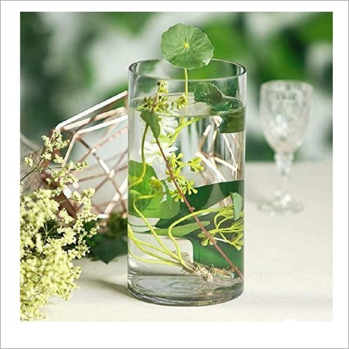 10 Inch Floral Wide Cylinder Glass Vase