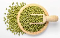 Pulses