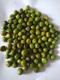 Masala Matar (O17)