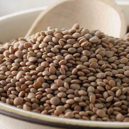 Brown Lentil