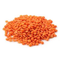 Organic Red Lentil (Whole)