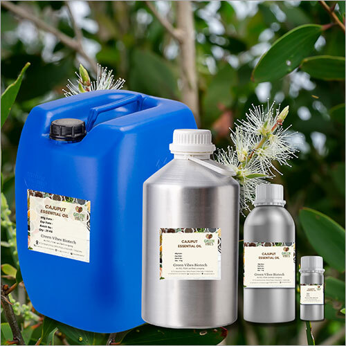 Cajuput Essential Oil