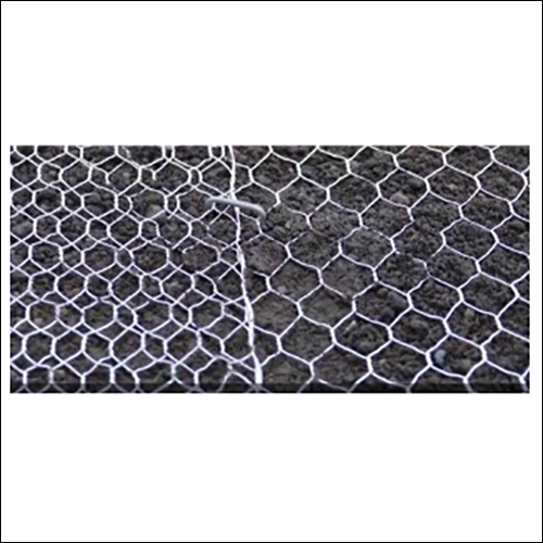 SS Wire Mesh For Organic Farming