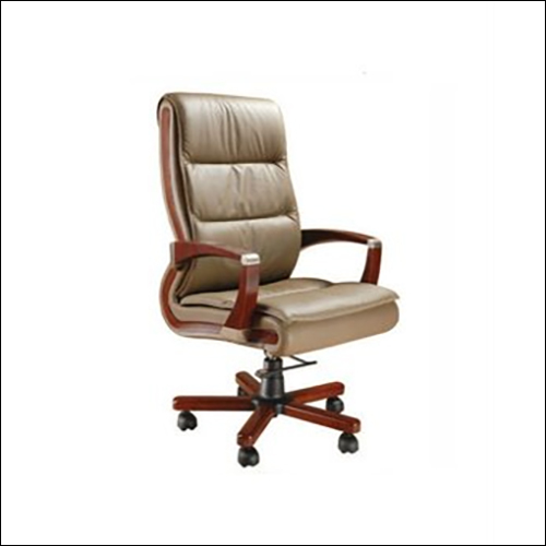 Director - Chairman Chair