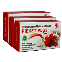 PIEKET PLUS
