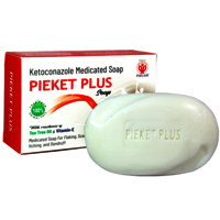 PIEKET PLUS