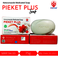 PIEKET PLUS