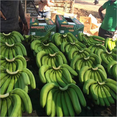 Green Cavendish Banana