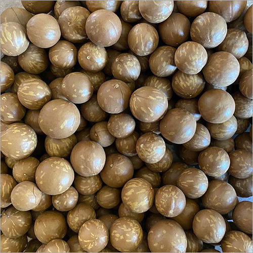 Shelled Macadamia Nuts