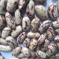 Red speckled Kidney Beans