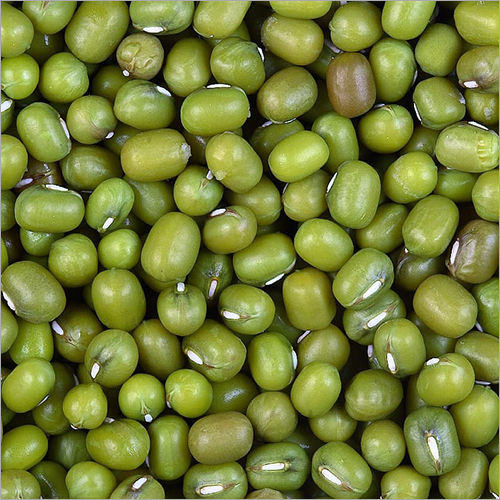 Green Mung Beans - Cultivation Type: Common