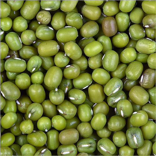 Green Mung Beans