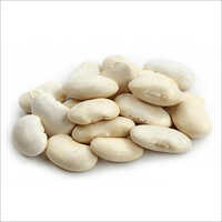 Butter Beans - Color: White
