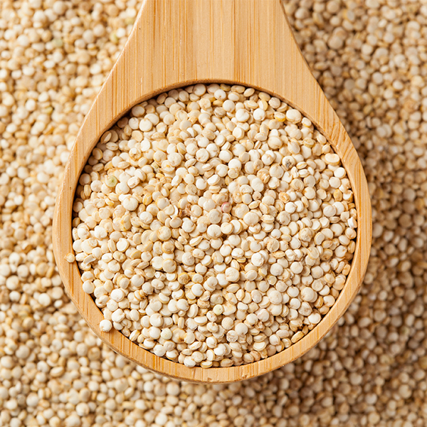 Organic Quinoa Seed