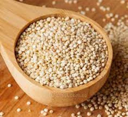 Organic Quinoa Seed