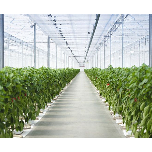 Greenhouse Installation and Technology Service