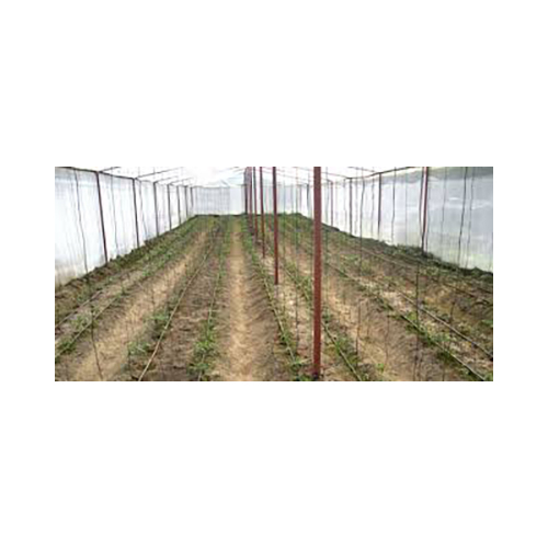 Polyhouse Installation and Technology Service