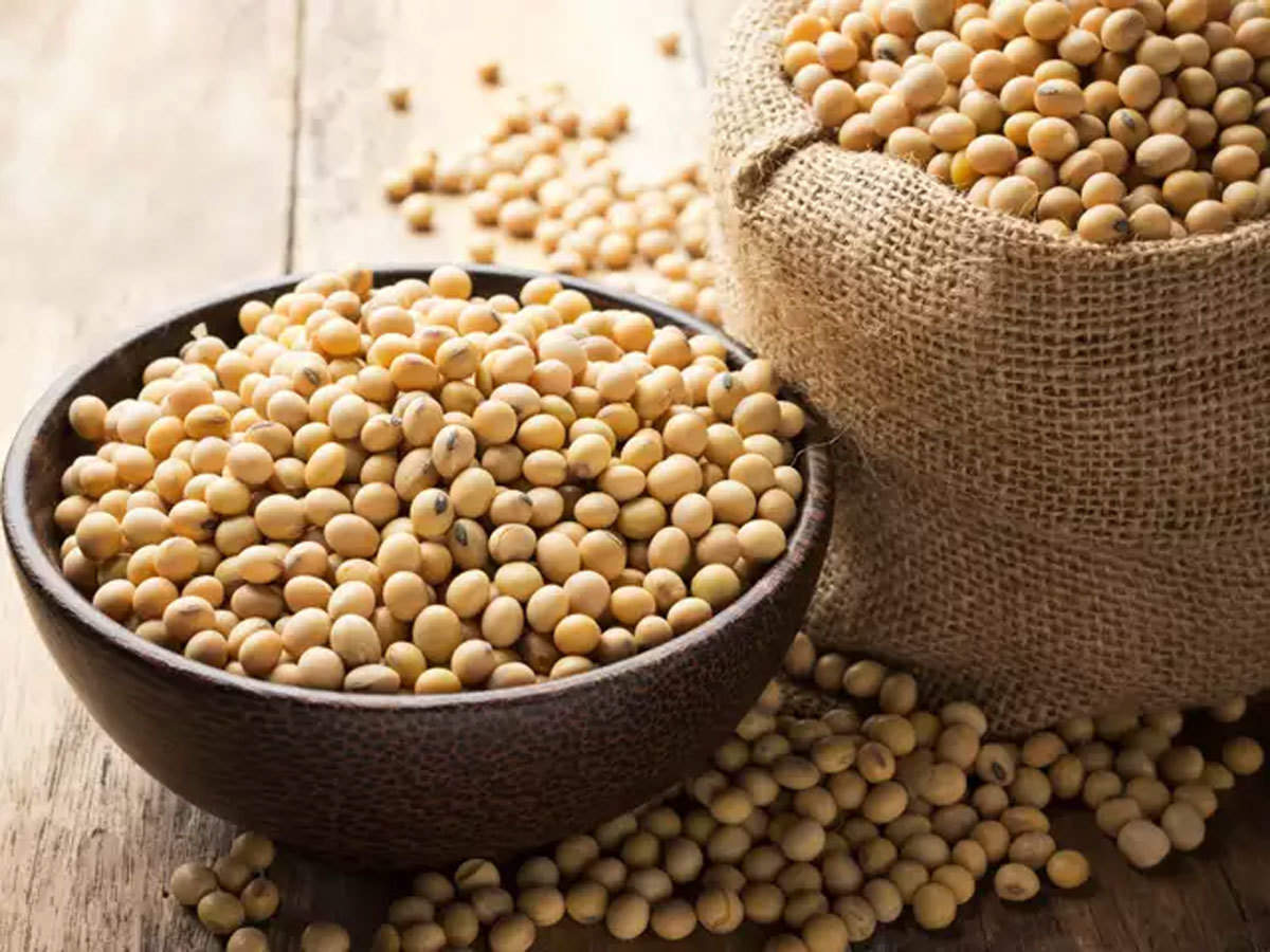 Organic Soybean Seeds