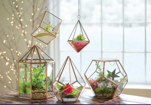 White Glass Terrarium