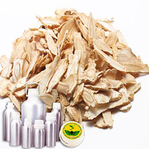 Angelica Water