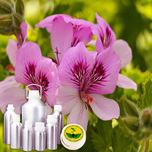 Geranium Hydrosol