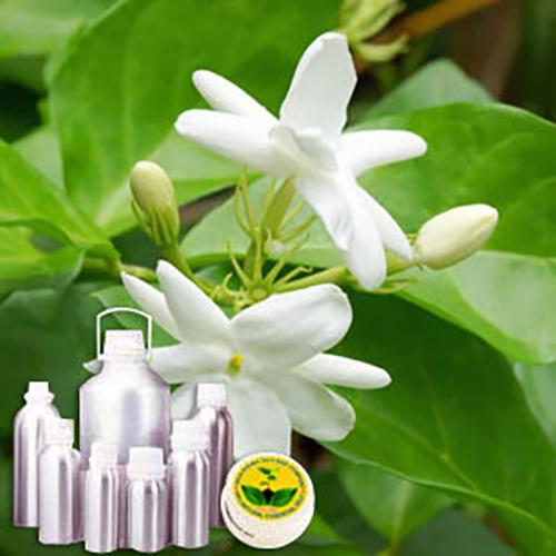 Jasmine Grandiflorum Water