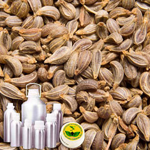 Parsleyseed Water