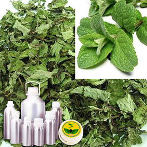 Peppermint Water