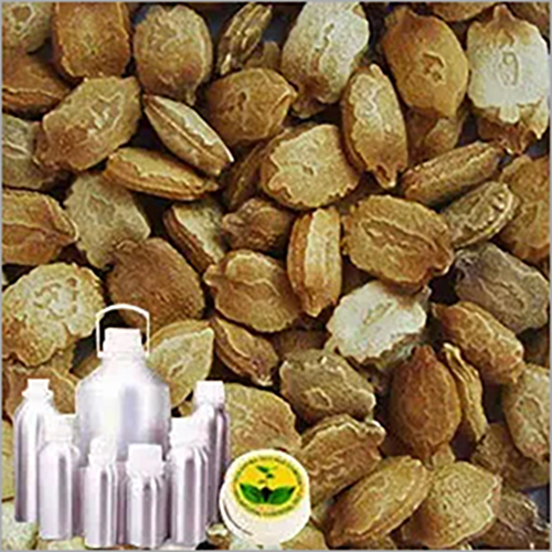 Fenugreek Carrier Oil