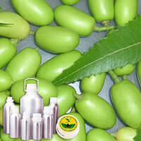 Neem Carrier Oil