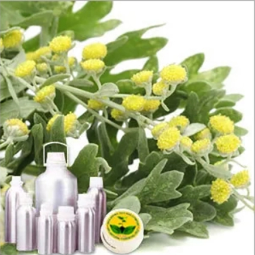 Davana Oil