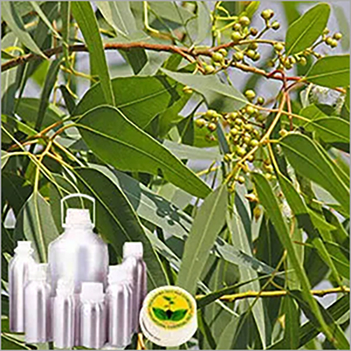 Eucalyptus Citriodora Oil Age Group: Adults