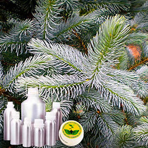 Idaho Blue Spruce Oil