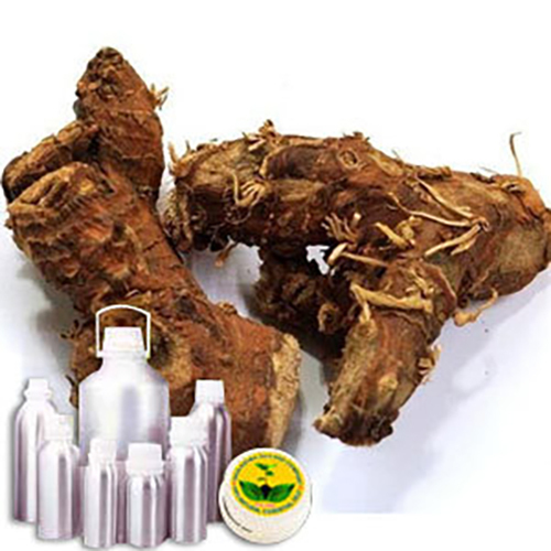 Kulajan Oil