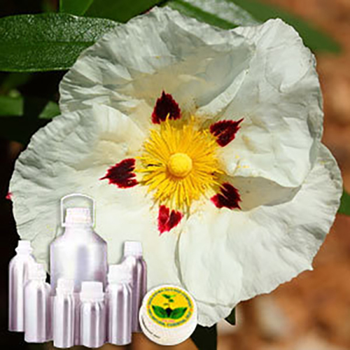 Labdanum Oil